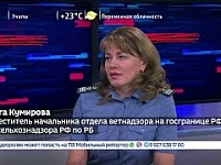 Вести. Интервью. Электронная ветеринарная сертификация должна искоренить незаконные поставки в пищевую отрасль. Эфир от 24.07.2019